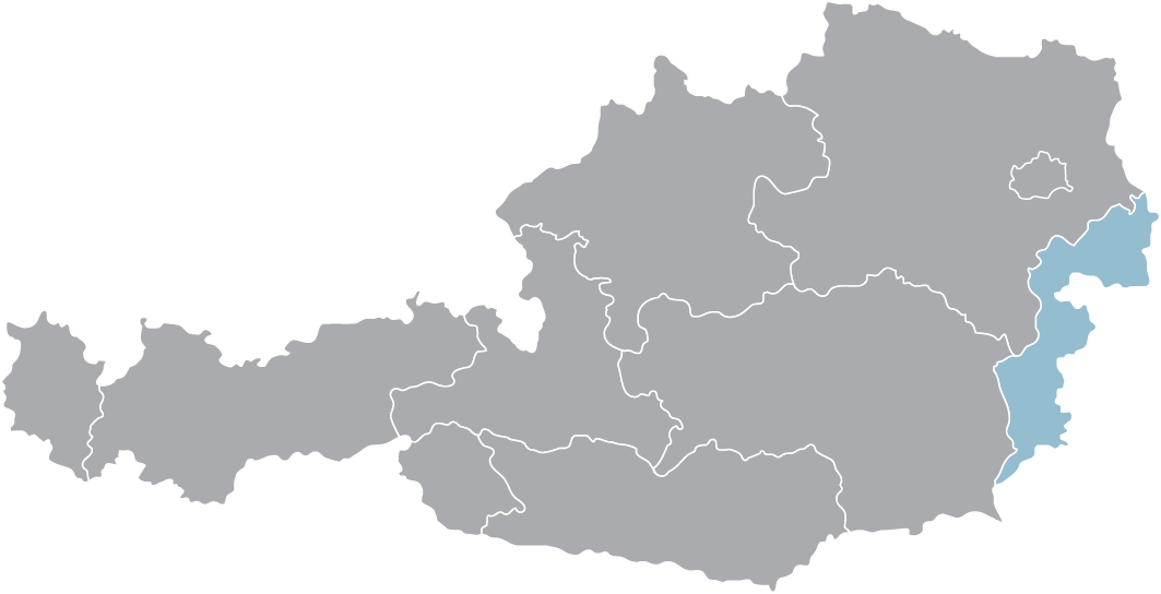 Karte von Wien und Umgebung, hervorgehoben: Unser Umzugsunternehmen bietet professionelle Dienste in dieser Region an.