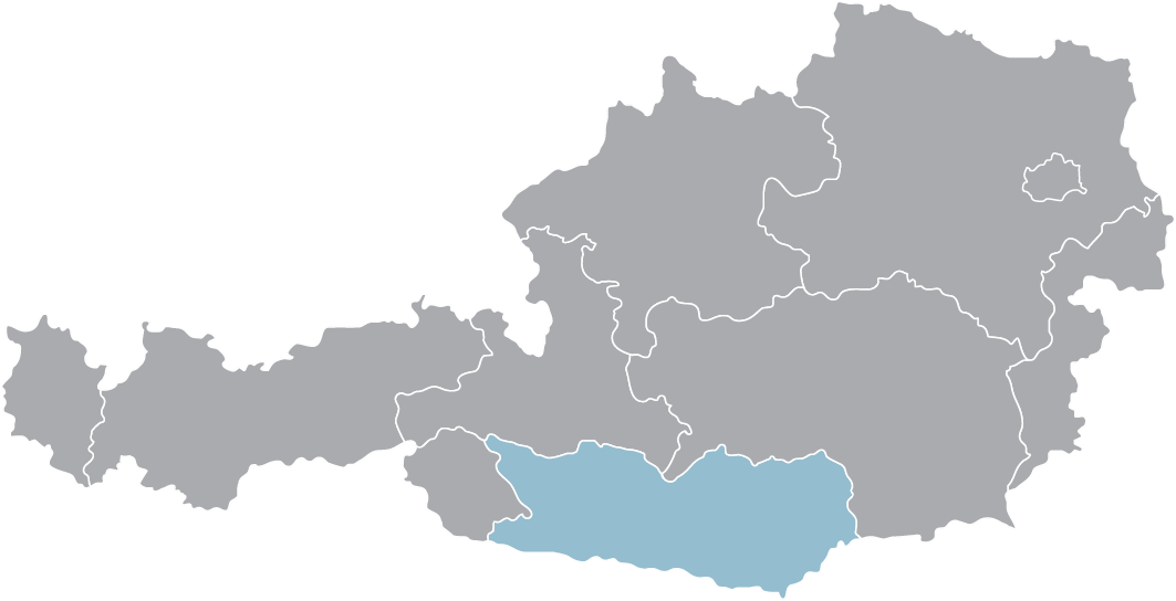 Karte von Österreich mit markierten Bundesländern. Professionelles Umzugsunternehmen für Wien und Umgebung.