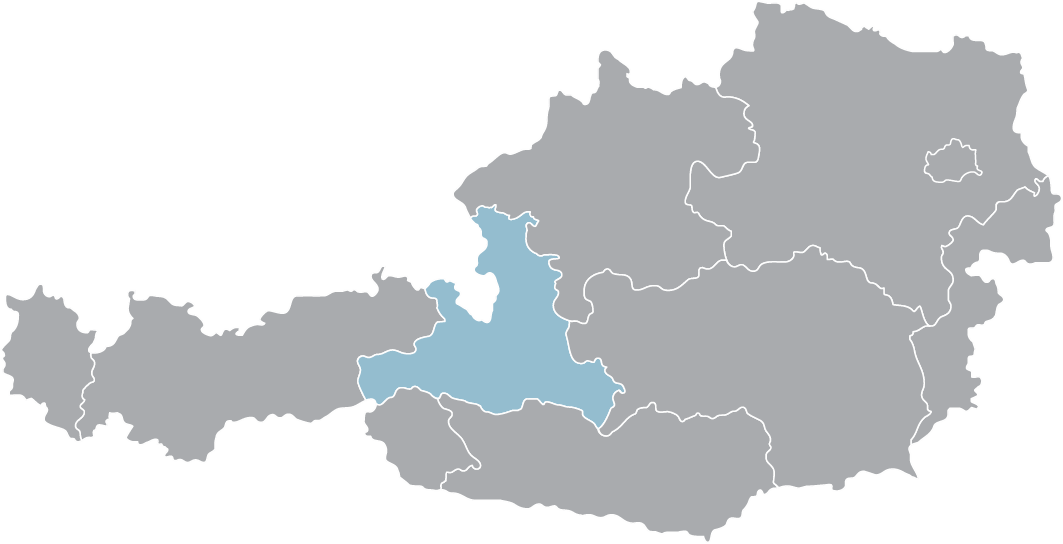 Karte von Österreich, Fokus auf Wien und Umgebung, Umzugsservice verfügbar.