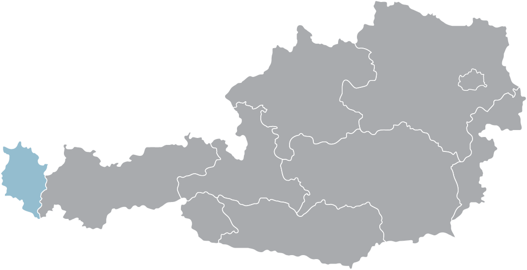 Umzugsunternehmen in Wien und Umgebung – Professionelle Services in der gesamten Region Österreich.